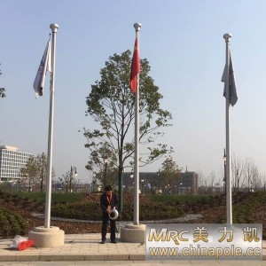 Shanghai-Disneyland-flagpole