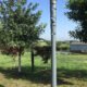Aluminum Alloy Light Poles Exported to the United States